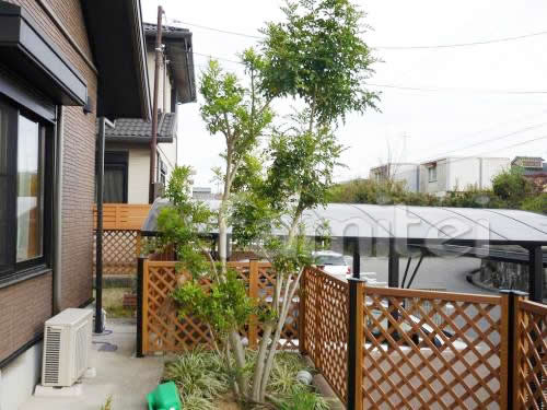 �ܹ���