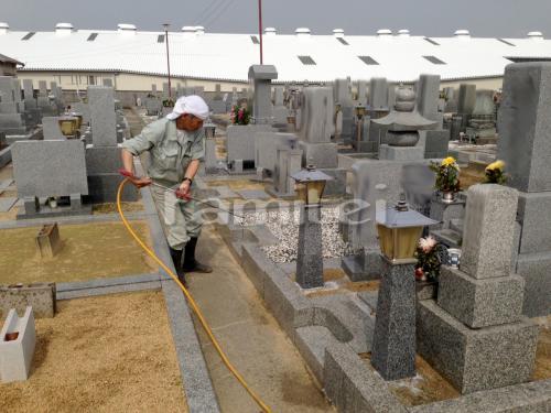 ��������� ����޻���
