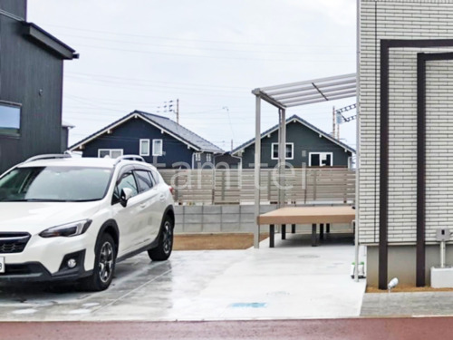 ��־쥬�졼���� �ڴ֥��󥯥꡼��