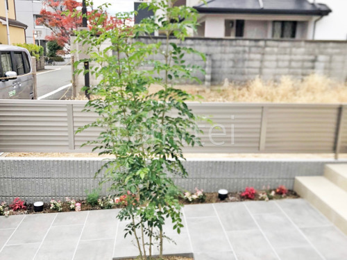 ����ܥ�ĥ꡼   ���ޥȥͥꥳ 