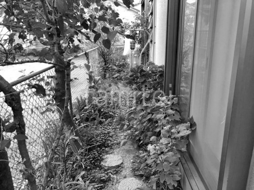�ܹ���