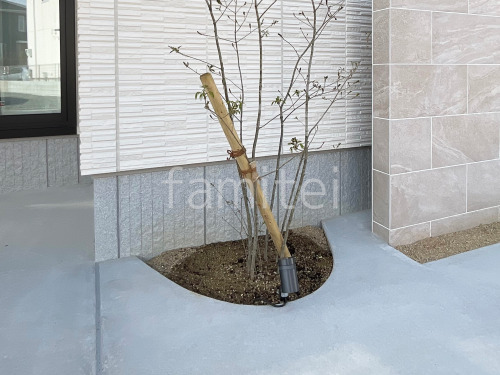 ���ݥåȥ饤�Ⱦ��� �ܼ�ٵ�