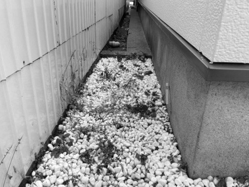 �ܹ���