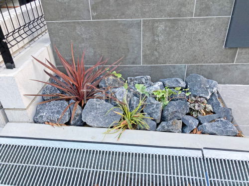���å������ǥ� �����ߤ� ��˥��� �梁���å� ���� ����