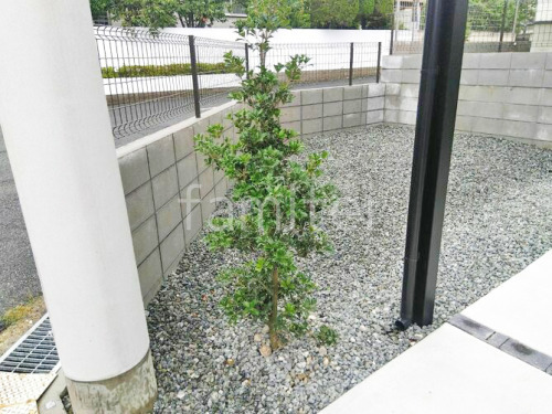 ����ܥ�ĥ꡼ �ҥ��饮 ���м� ����