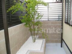 植栽:イロハモミジ(落葉樹)