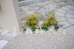 門まわり花壇 下草
