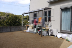 �٥���ʪ�����쥮��顼�ƥ饹����1��