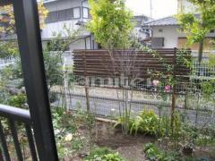 植栽 ヤマボウシ