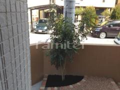 シンボルツリー植栽