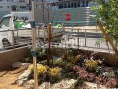 ���� ���塼��٥꡼