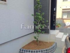 シンボルツリー ハナミズキ(白) 植栽植込
