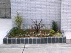 ���� �ԥ󥳥��� ���� ����