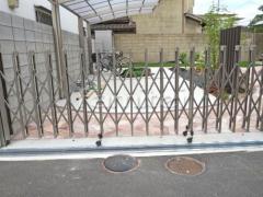 ��־쥬�졼���� �ڴ֥��󥯥꡼�� ������� �³�(�ߤ��դ�) ���졼����