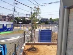 シンボルツリー シマトネリコ