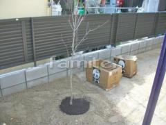 ����ܥ�ĥ꡼ �ϥʥߥ���(�ԥ�) ���ռ� ����