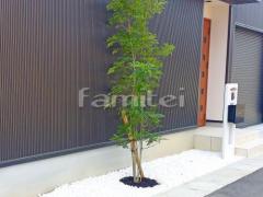 ����ܥ�ĥ꡼ ���ޥȥͥꥳ ���м� ���� ���Ѻ��� ����