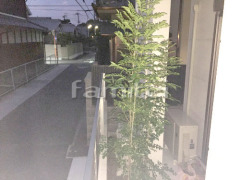 ����ܥ�ĥ꡼ ���ޥȥͥꥳ ���м� ����