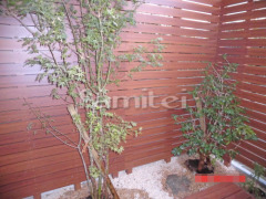 ����ܥ�ĥ꡼ �����ϥ�ߥ� ���ռ� ��ӥ��� ���м� ����