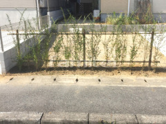 ���� �ץ�ڥå� �������� ����