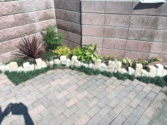 ピンコロ石花壇 植栽