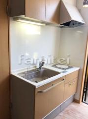 �����ƥ७�å��� �ȥ��饹 Bb ɸ��ץ�� C���꡼�� �饤�ȥ����꡼ ���� �˥塼���顼�ʥ����󥿡� ���� ���å��١�����W135