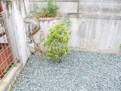 ���� �ҥ��饮 ���м� ����