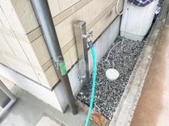 Ω���� ��˥��� ���ץ쥹�����60 �ظ�2���դ�