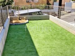 ���ۥ���ץ� �����ץ󳰹�