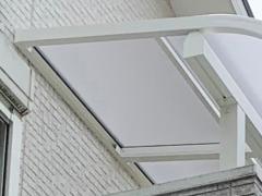 本体色 ホワイト