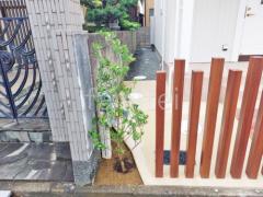 シンボルツリー