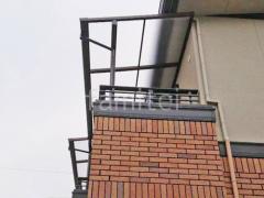 本体色 ブラウン