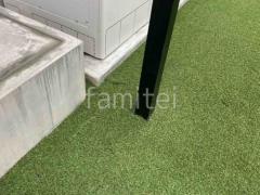 �͹��� ���𥷡��Ȳù� �襷�ߥ��ӿ� �ꥢ��͹��� 35mm 