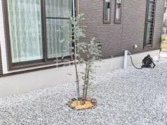 ���ۥ١����å� �����ץ󳰹�