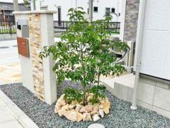 ����ܥ�ĥ꡼ ���ռ� �������� ���� ���å������ǥ� ���ι��� ����å�����å� ���⡼�륵����