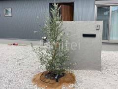 ����ܥ�ĥ꡼ ���꡼�� ���м� ���� ���� Panasonic LED���ݥåȥ饤�� XLGE0001CE1