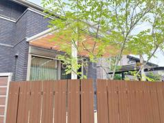 �����Υ�ե�����