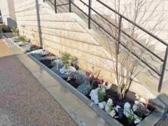 ���� ����