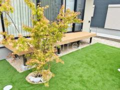 人工木材ウッドデッキ LIXIL 樹ら楽ステージ(きらら) シンボルツリー イロハモミジ 落葉樹 植栽