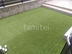 ���ۥ���ץ� �����ץ󳰹�