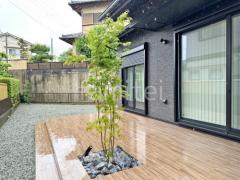 シンボルツリー イロハモミジ 落葉樹 植栽 ロックガーデン 栗石敷き