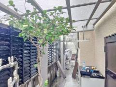 1階テラス屋根 (雨除け) YKKAP 独立式 レセパ Lタイプ フラット屋根 独立式 スタンダード