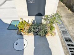 ロックガーデン 栗石敷き 下草 植栽