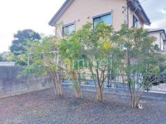 植栽 葉刈り剪定